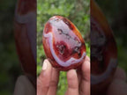 Polished Carnelian Gemstone Goose Size Egg x 1 From Madagascar