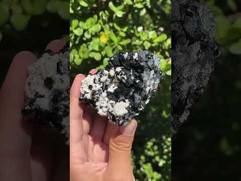 Natural Schorl Black Tourmaline with Feldspar x 1 From Erongo, Namibia
