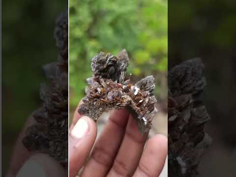 Natural Classic Ultra Rare Berg Aukas Descloizite Specimen x 1 From Berg Aukas, Namibia