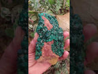 Natural Large Classic Dioptase Specimen x 1 From Likasi, Congo