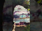 Polished Large Translucent Watermelon Fluorite Slice x 1 From Uis, Namibia