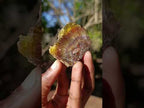 Polished and Natural Mix of African Specimens Set of 12 in a Wooden Display Box x 1 From Southern Africa