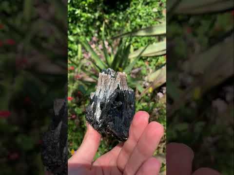 Natural Schorl Black Tourmaline Specimen with Fluorescent Hyalite Capping x 1 From Erongo, Namibia