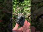 Natural Schorl Black Tourmaline Specimen with Fluorescent Hyalite Capping x 1 From Erongo, Namibia