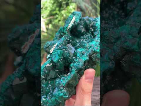 Exquisite Shiny Natural Dioptase Vug Specimen x 1 From Likasi, Congo