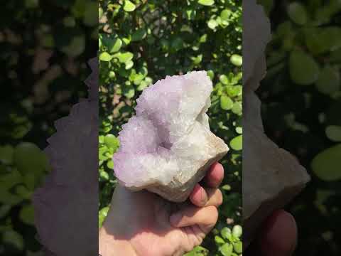 Natural Sunburst Amethyst Cactus Flower Crystal Cluster x 1 From Boekenhouthoek, South Africa