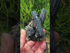 Natural Schorl Black Tourmaline Cabinet Specimen x 1 From Erongo, Namibia