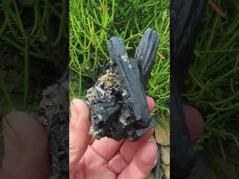 Natural Schorl Black Tourmaline Cabinet Specimen x 1 From Erongo, Namibia