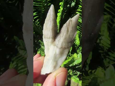 Natural Drusy Quartz Coated Hollow Pseudomorph Twin Specimen x 1 From Albert's Mountain, Lesotho