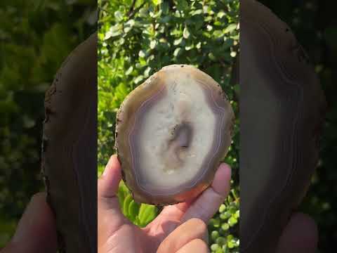 Polished Banded Agate Slice x 1 From Madagascar