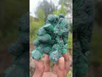 Natural Cabinet Size Botryoidal Silky Malachite Specimen x 1 From Kasompe, Congo