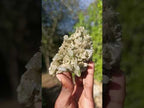 Natural Large Bladed Barite Specimen with Malachite  x 1 From Shinkolobwe Mine, Congo