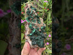 Natural Silky Ball Malachite On Druzy Crystalline Dolomite Matrix Specimen x 1 From Kambove, Congo