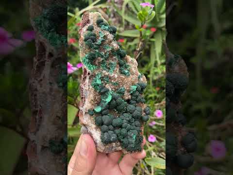 Natural Silky Ball Malachite On Druzy Crystalline Dolomite Matrix Specimen x 1 From Kambove, Congo