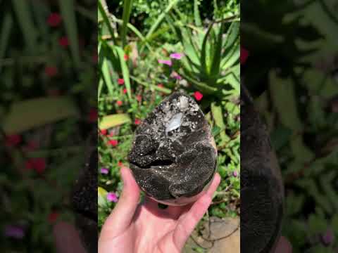 Polished Septerye Sauvage Dragons Egg Geode x 1 From Mahajanga, Madagascar