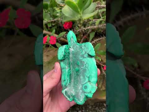 Hand-Made Banded Flower Malachite Turtle Carving x 1 From Congo
