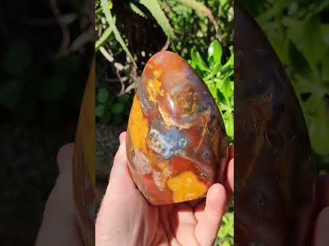 Polished Red Podocarpus Petrified Wood Standing Display Piece x 1 From Mahajanga, Madagascar