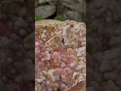 Natural XL Botryoidal Spirit Quartz Crystal Plate x 1 From South Africa