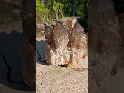 Natural XL Smokey Citrine Crystal Cluster x 1 From Luena, Congo