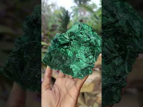 Natural Large Silky Rosette Malachite Classic Specimen x 1 From Kambove Copper Mine, Congo