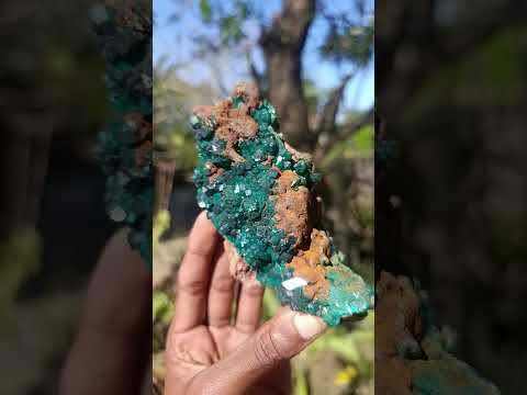 Natural Cabinet Size Dioptase Specimen with Siderite on a Dolomite Matrix x 1 From Mashamba East, Congo