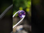 Polished Set of 3 Zambian Amethyst Faceted Stones x 1 From Zambia