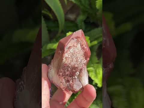Natural Double Terminated Red Hematoid Quartz "Collar" Crystal x 1 From Karoi, Zimbabwe
