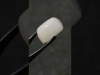 Polished Large 6 Carat Hydrophane White Ethiopian Opal x 1 From Welo, Ethiopia