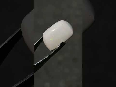Polished Large 6 Carat Hydrophane White Ethiopian Opal x 1 From Welo, Ethiopia