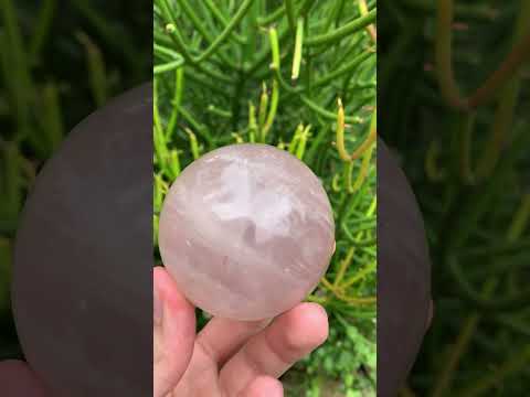 Polished Gemmy Star Rose Quartz Sphere x 1 From Ambatondrazaka, Madagascar