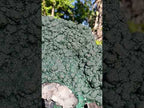 Natural Superb XL Crystalline Botryoidal Malachite Double Sided Floater Specimen with a Metal Display Stand x 1 From Kolwezi, Congo