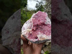 Natural Mixed Set of 12 African Minerals, Fossils and Crystal Specimens x 1 From Southern Africa