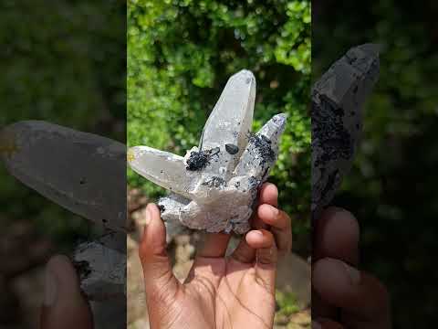Natural Erongo Smokey Quartz with Black Schorl Tourmaline in a Splayed Formation x 1 From Erongo, Namibia