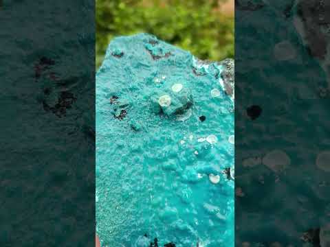Natural High Gloss Rare Silica Chrysocolla Cabinet Specimen x 1 From Kulukuluku, Congo