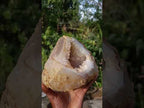 Polished Holy Agate Crystalline Geode Slice x 1 From Maintirano, Madagascar