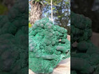 Natural XL Silky Botryoidal Malachite Specimen x 1 From Kasompe, Congo