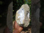 Natural Double Barreled Crystalline Centred Blue Lace Agate Geode Specimen x 1 From Nsanje, Malawi
