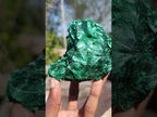 Natural Rosette and Fan Silky Malachite Specimen x 1 From Kasompe, Congo