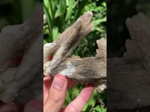 Natural Drusy Coated Spearhead Calcite Specimen x 1 From Albert's Mountain, Lesotho