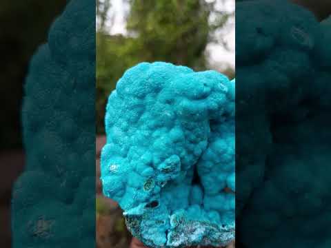 Natural Drusy Coated Botryoidal Chrysocolla Specimen on Dolomite Matrix x 1 From Kulukuluku, Congo