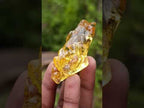 Natural Mixed Set of 6 African Gemstones and Fossil in a Wooden Display Box x 1 From Southern Africa