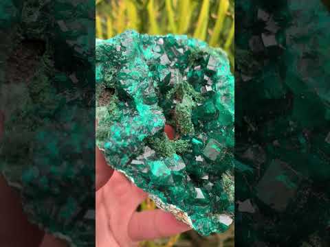 Natural Rare Dioptase and Crystalline Malachite Specimen x 1 From Likasi, Congo