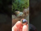 Polished Faceted 29.5 Carat Smokey Quartz Heart Stone x 1 From Madagascar
