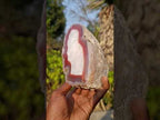 Polished One Side Ringed Shashe River Agate Nodule Slice x 1 From Shashe River, Zimbabwe
