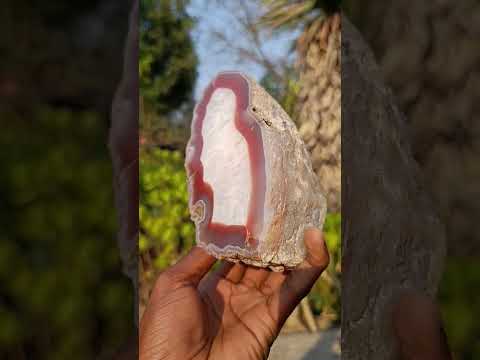 Polished One Side Ringed Shashe River Agate Nodule Slice x 1 From Shashe River, Zimbabwe