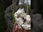 Natural Goshenite Aquamarine Cluster on a Smokey Quartz and Feldspar Matrix x 1 From Erongo, Namibia