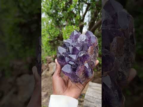 Natural Large Deep Purple Zambian Amethyst Decor Crystal Cluster x 1 From Kalomo, Zambia