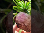 Polished Smokey Amethyst Window Display Crystal x 1 From Akansobe, Madagascar