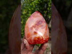 Polished and Natural Carnelian Standing Display Piece x 1 From Madagascar