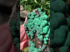 Natural Ball Malachite on Drusy Crystalline Dolomite Matrix Specimen x 1 From Kambove, Congo